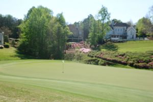 TPC Sugarloaf (Meadows) 3rd Green
